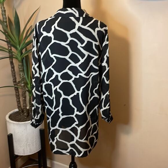 Vintage Petite Sophisticate sheer button tunic - Picture 2 of 9